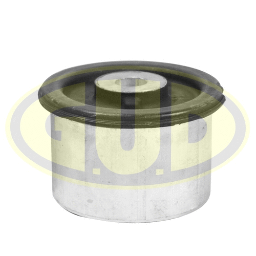 Mounting, control/trailing arm (GSP601523)