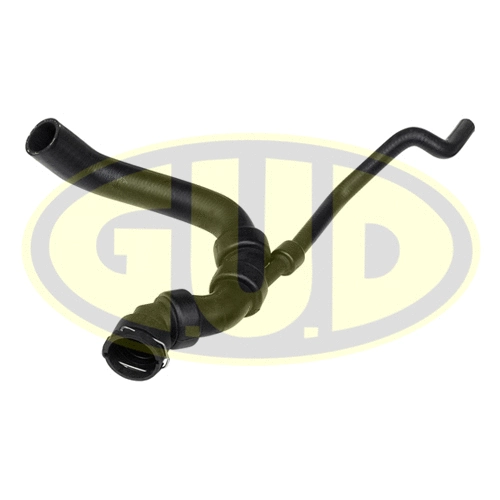Radiator Hose (GSH027848)