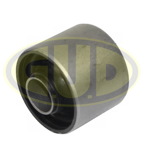 Mounting, control/trailing arm (GSP601431)