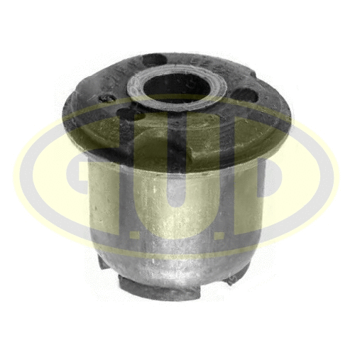 Mounting, control/trailing arm (GSP601769)