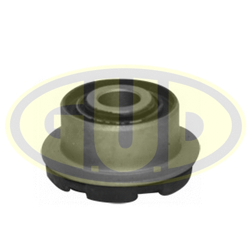 Mounting, control/trailing arm (GSP601342)