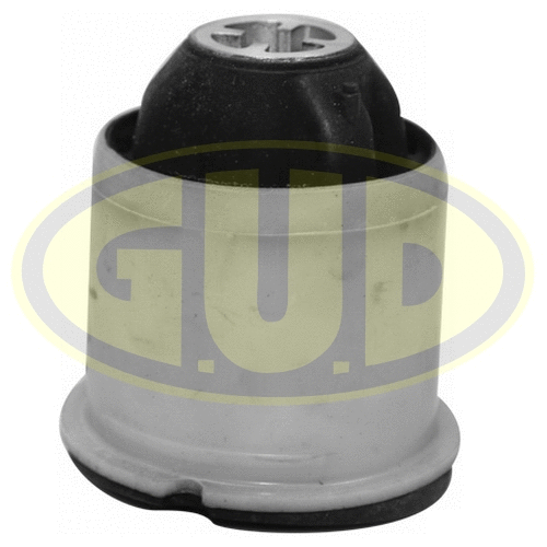 Mounting, control/trailing arm (GSP601449)