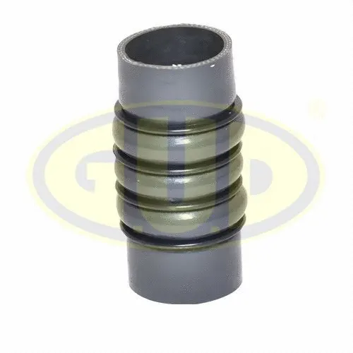 Charge Air Hose (GTH017274)