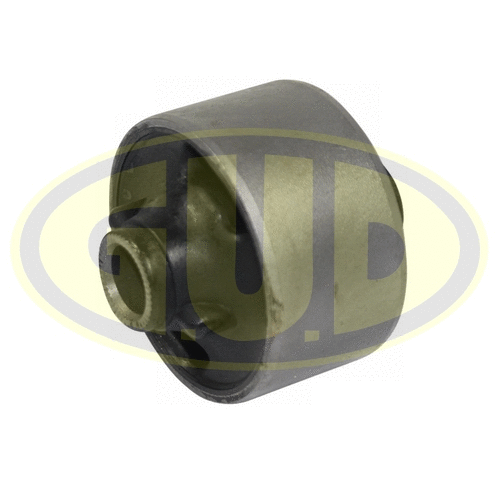 Mounting, control/trailing arm (GSP601356)