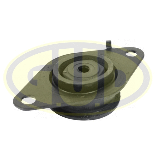 Mounting, engine (GEM001243)