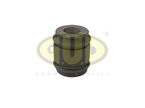 Mounting, control/trailing arm (GSP601030)