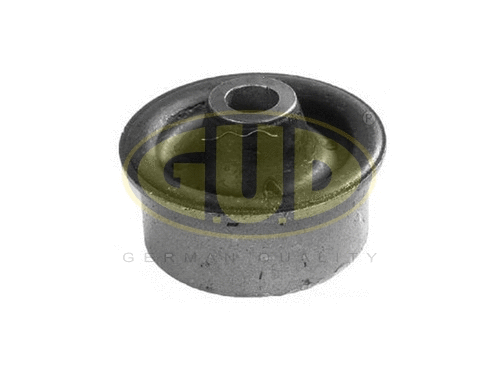 Mounting, control/trailing arm (GSP601028)