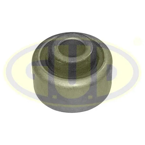 Mounting, control/trailing arm (GSP601204)