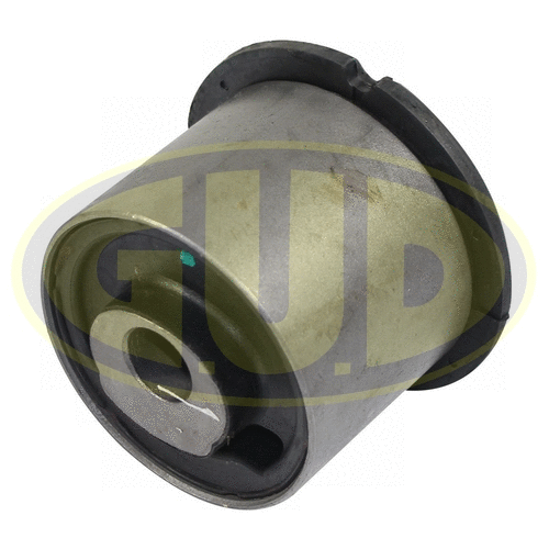 Mounting, control/trailing arm (GSP601549)