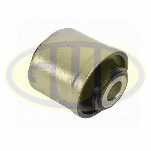 Mounting, control/trailing arm (GSP601276)
