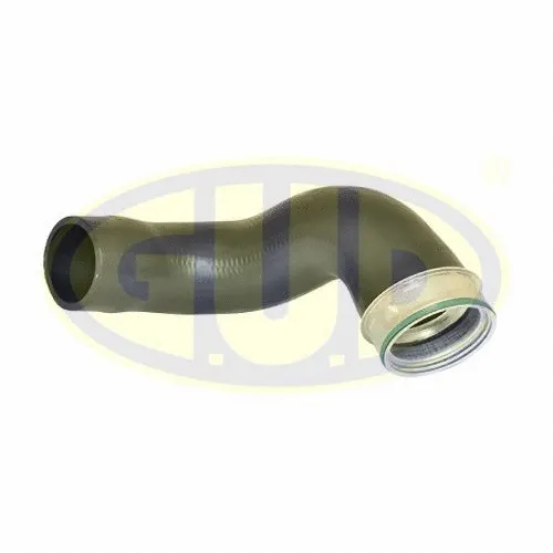 Charge Air Hose (GTH033547)