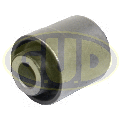 Mounting, control/trailing arm (GSP601353)