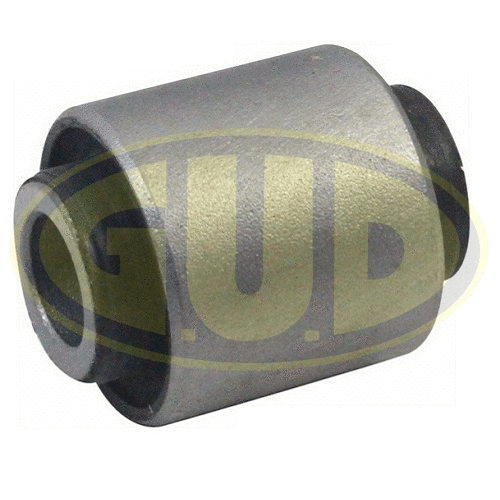 Mounting, control/trailing arm (GSP601701)