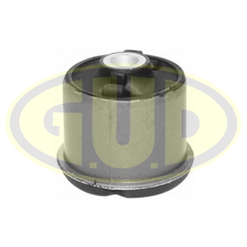Mounting, control/trailing arm (GSP601721)