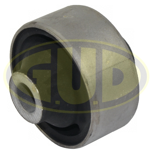 Mounting, control/trailing arm (GSP601346)