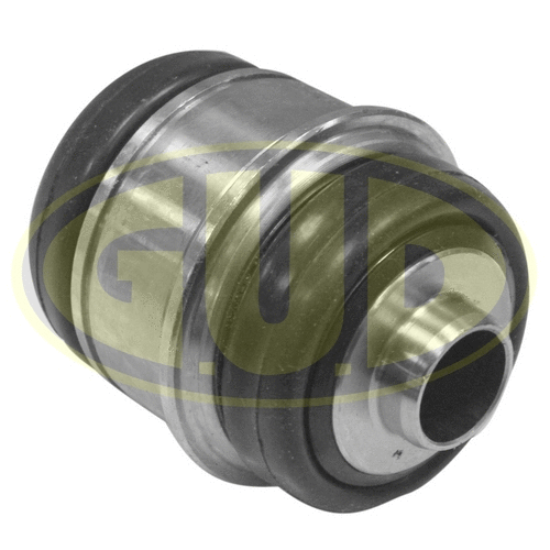 Mounting, control/trailing arm (GSP601311)
