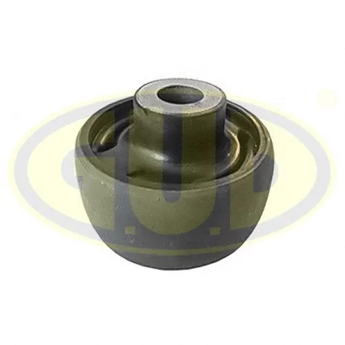 Mounting, control/trailing arm (GSP601159)