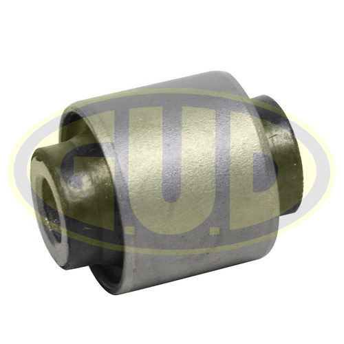 Mounting, control/trailing arm (GSP601626)