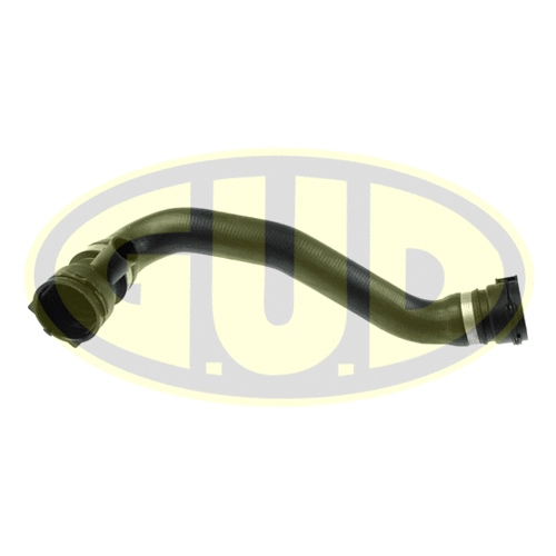 Radiator Hose (GSH319308)