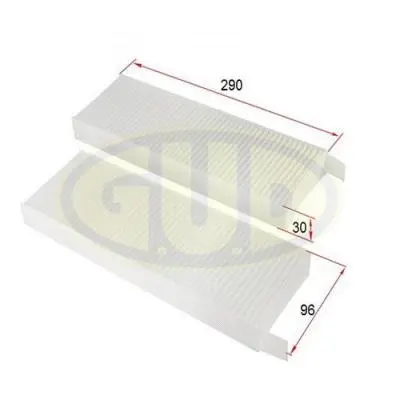 Filter, cabin air (GCF3039-2)