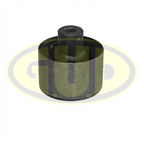 Mounting, control/trailing arm (GSP601765)