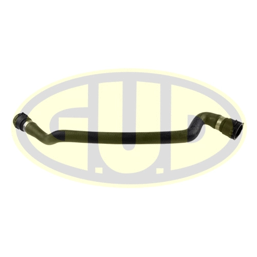 Radiator Hose (GSH035303)