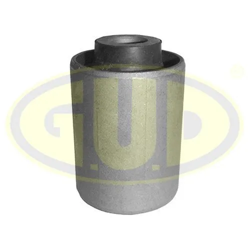 Mounting, control/trailing arm (GSP601136)