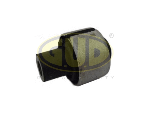 Mounting, control/trailing arm (GSP601054)