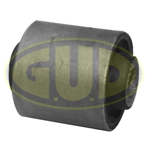 Mounting, control/trailing arm (GSP601367)