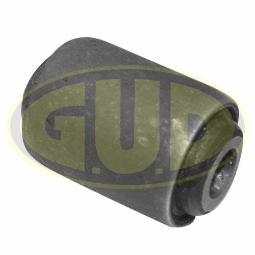 Mounting, control/trailing arm (GSP601438)