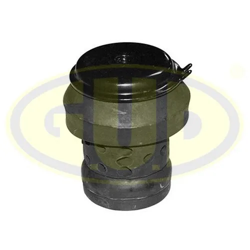 Mounting, engine (GEM001035)