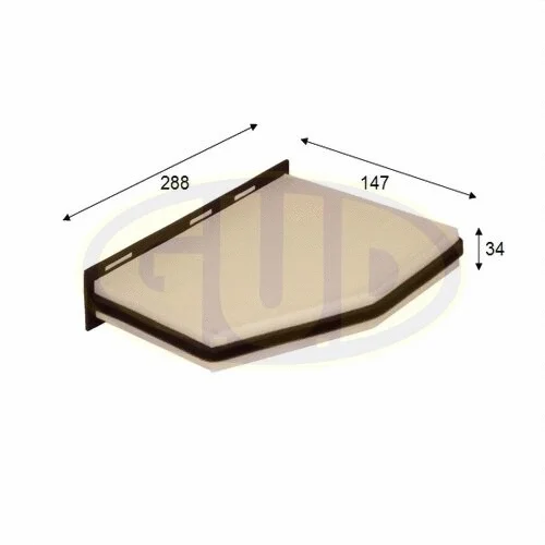 Filter, cabin air (GCF2939)