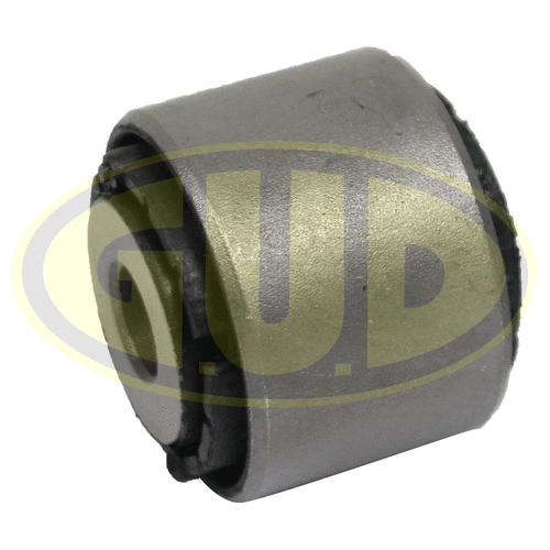 Mounting, control/trailing arm (GSP601307)