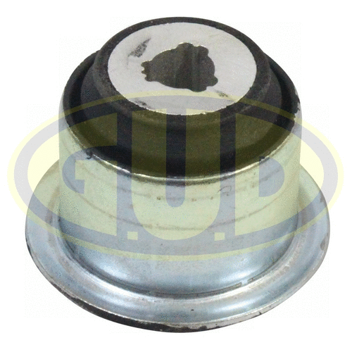 Mounting, control/trailing arm (GSP601317)