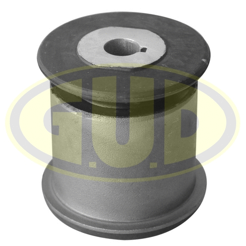 Mounting, control/trailing arm (GSP601412)