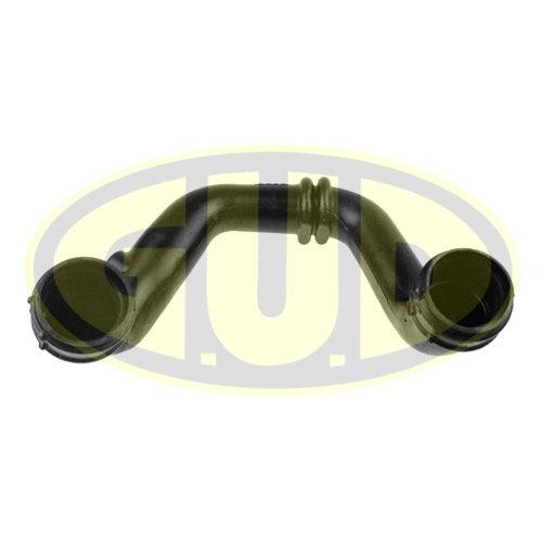 Charge Air Hose (GTH011548)