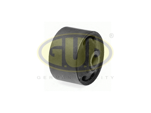 Mounting, control/trailing arm (GSP601040)