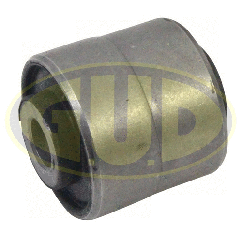 Mounting, control/trailing arm (GSP601538)