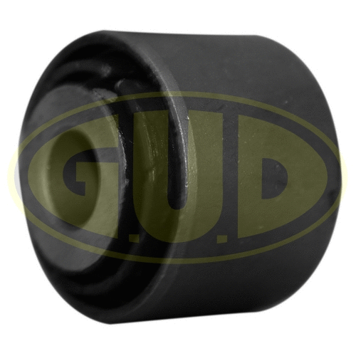 Mounting, control/trailing arm (GSP601383)