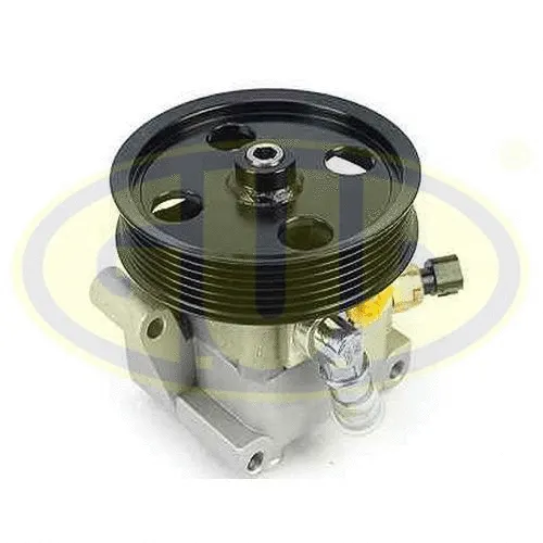 Hydraulic Pump, steering (GPP100110)