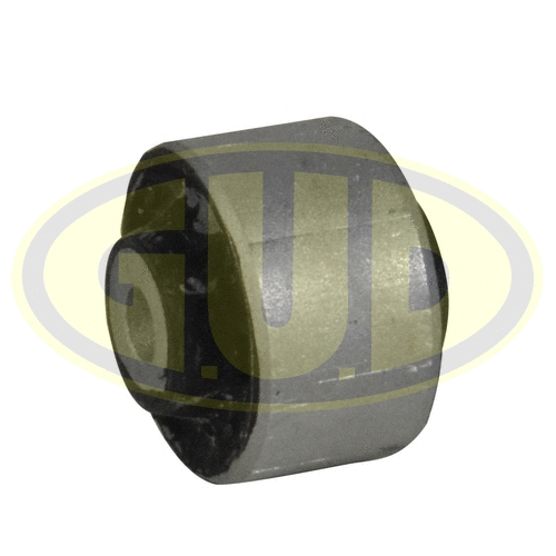 Mounting, control/trailing arm (GSP601464)