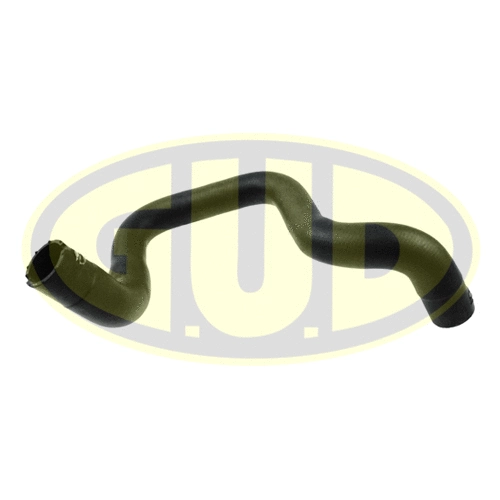 Radiator Hose (GSH019904)