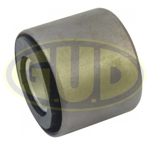Mounting, control/trailing arm (GSP601585)