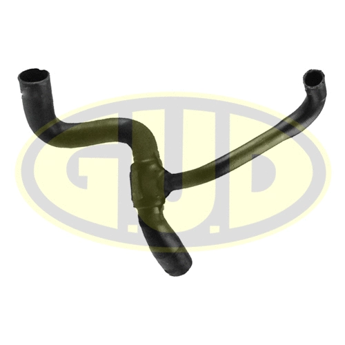 Radiator Hose (GSH316198)