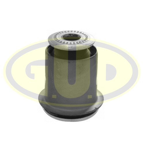 Mounting, control/trailing arm (GSP601349)
