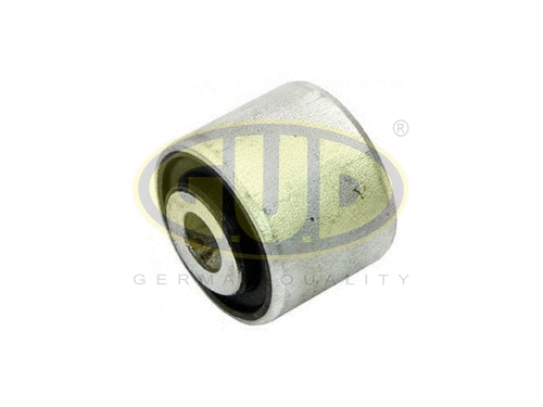 Mounting, control/trailing arm (GSP601068)