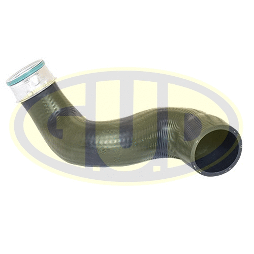 Charge Air Hose (GTH027166)