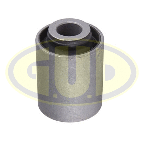 Mounting, control/trailing arm (GSP601814)