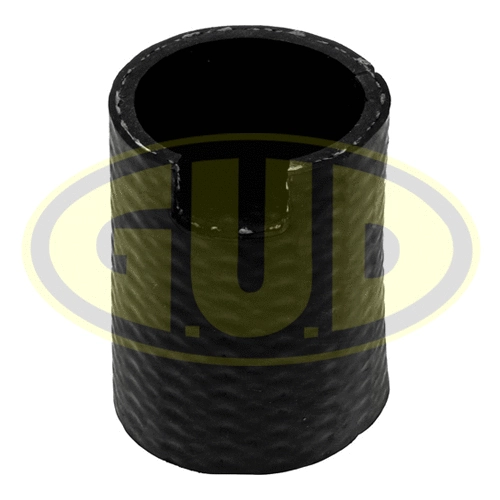 Charge Air Hose (GTH315533)