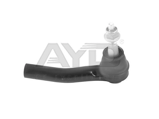 Tie Rod End (9119549)